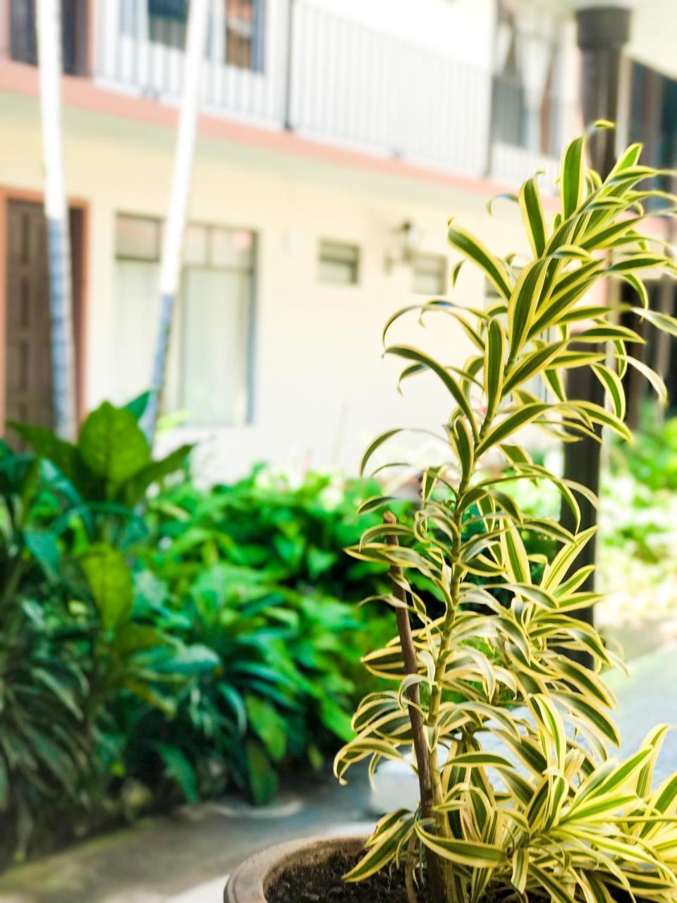 Hotel Villa De Flores Uruapan  Ngoại thất bức ảnh